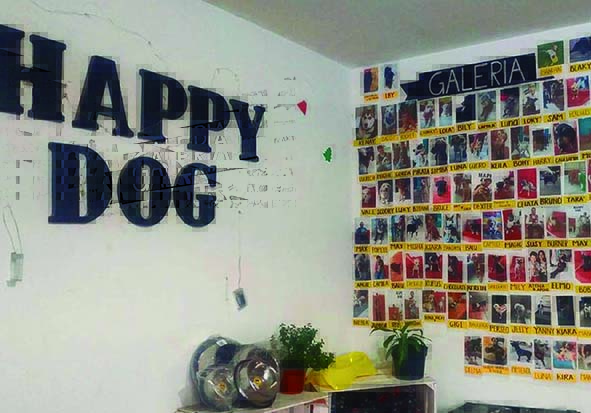 Galería de visitantes en la tienda